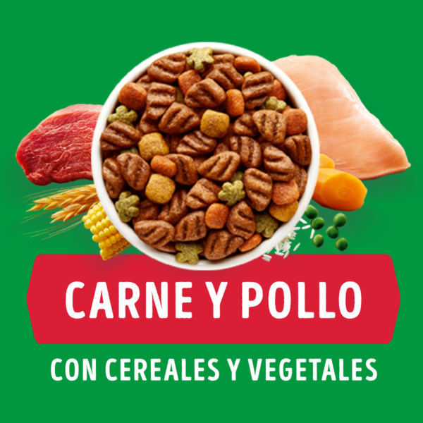 Dog Chow Adulto 24 KG - Imagen 5