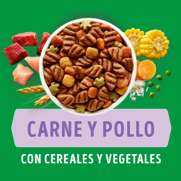 Dog Chow Cachorro Razas Pequeñas 3 KG - Imagen 3