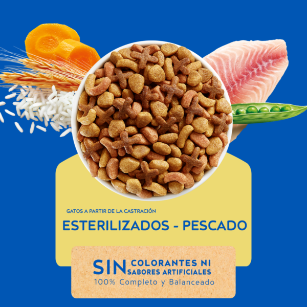 Cat Chow Esterilizado Defense Plus 8 KG - Imagen 3