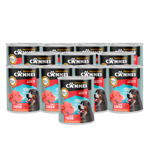 Display Lata Cannes Adulto Carne 375g 12 Unidades - Imagen 2