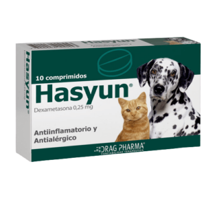 Hasyun 10 Comprimidos