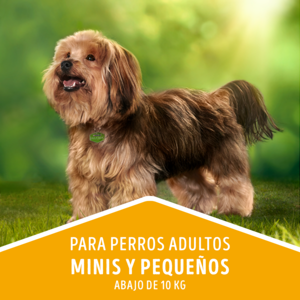 Dog Chow Adulto Razas Pequeñas 8 KG - Imagen 5