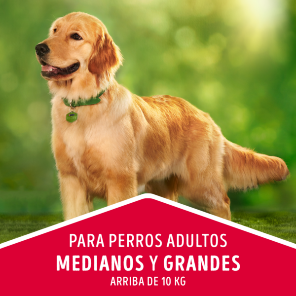 Dog Chow Adulto 24 KG - Imagen 3