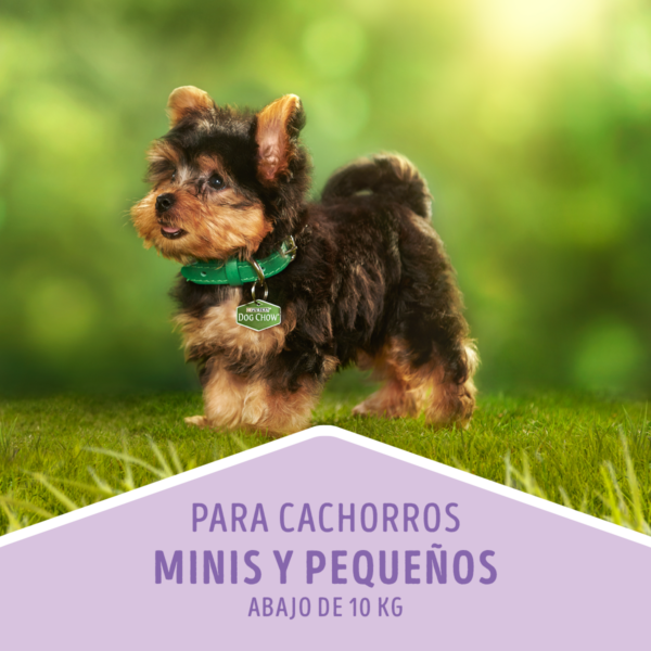 Dog Chow Cachorro Razas Pequeñas 3 KG - Imagen 4