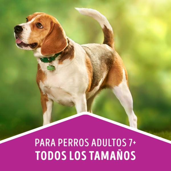 Dog Chow Senior 8 KG - Imagen 4