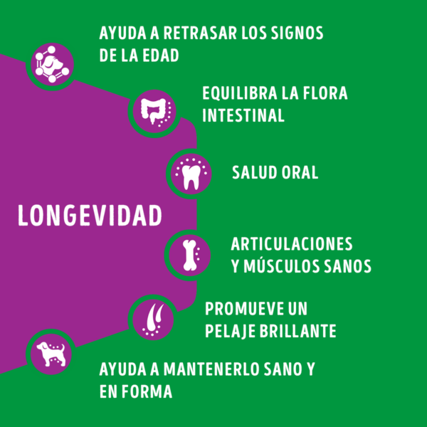 Dog Chow Senior 8 KG - Imagen 6