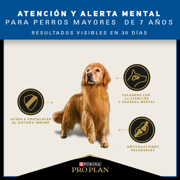 Pro Plan Active Mind Razas Mediana/Grande 15 KG - Imagen 4