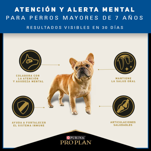 Pro Plan Active Mind Razas Pequeñas 3kg - Imagen 6