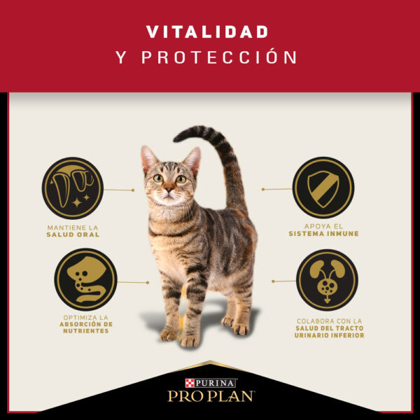 Pro Plan Cat Adult 3 KG - Imagen 7