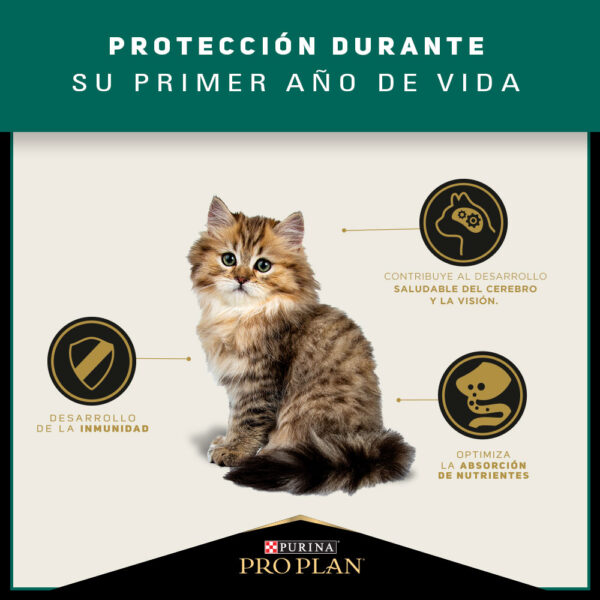 Pro Plan Cat Kitten 1 kg - Imagen 5