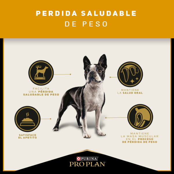 Pro Plan Reduced Calorie Razas Pequeñas 3 KG - Imagen 4