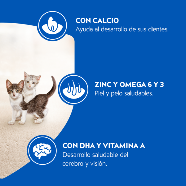 Cat Chow Gatitos 8 KG - Imagen 7