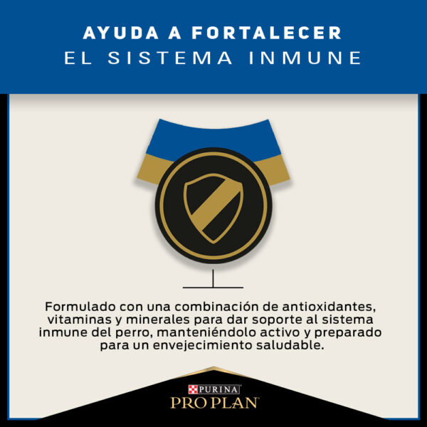 Pro Plan Active Mind Razas Mediana/Grande 15 KG - Imagen 7