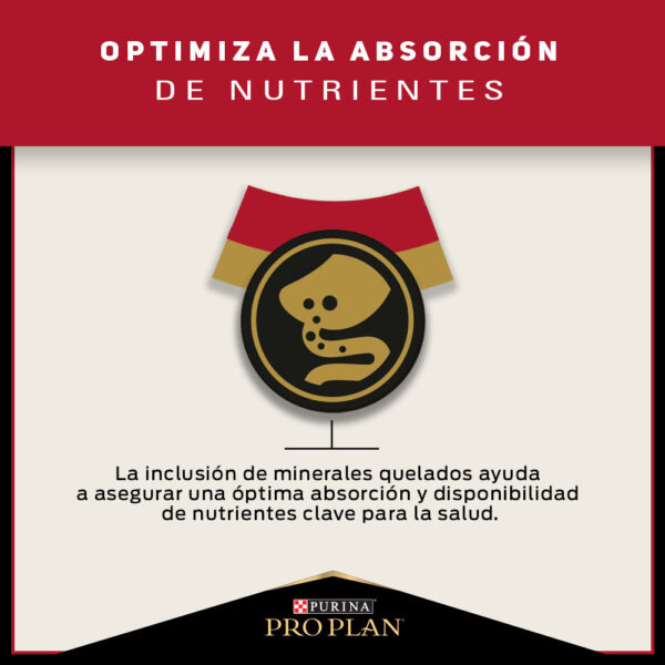 Pro Plan Cat Adult 3 KG - Imagen 6