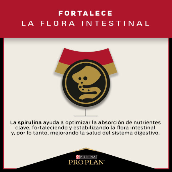 Pro Plan Adulto Razas Medianas 3kg - Imagen 7