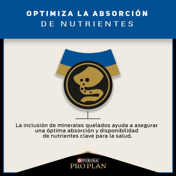 Pro Plan Cat Adult 7+ 3 kg - Imagen 4