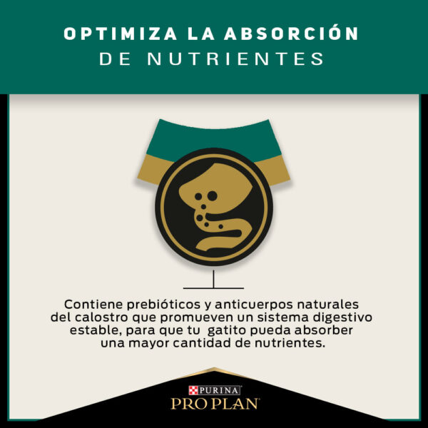 Pro Plan Cat Kitten 1 kg - Imagen 8