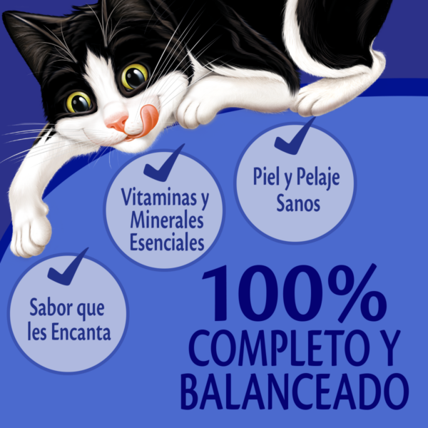 Caja Sachet Felix Pollo 15 Unidades - Imagen 2