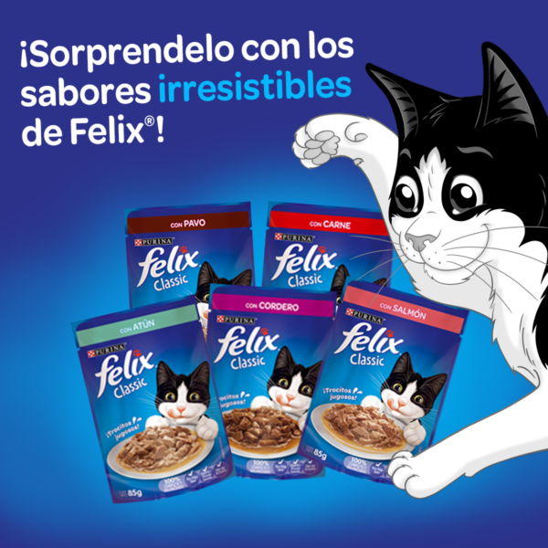 Caja Sachet Felix Pollo 15 Unidades - Imagen 3
