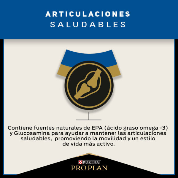 Pro Plan Active Mind Razas Mediana/Grande 15 KG - Imagen 5