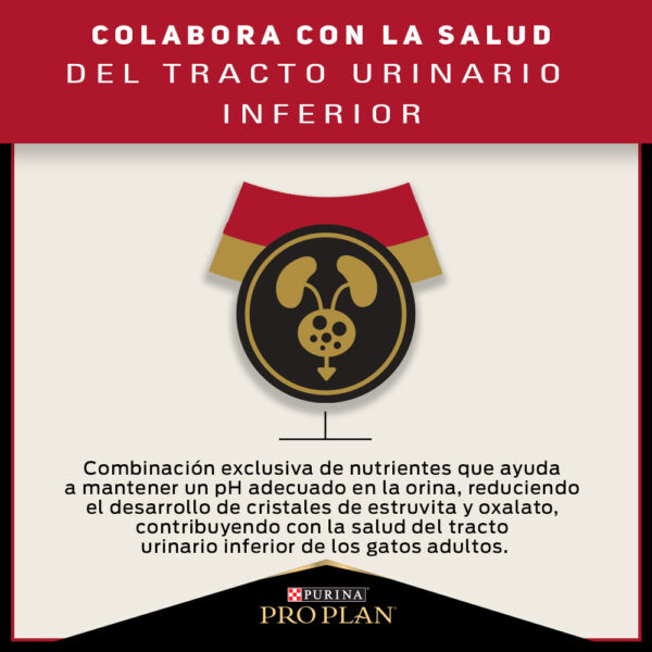 Pro Plan Cat Adult 3 KG - Imagen 3
