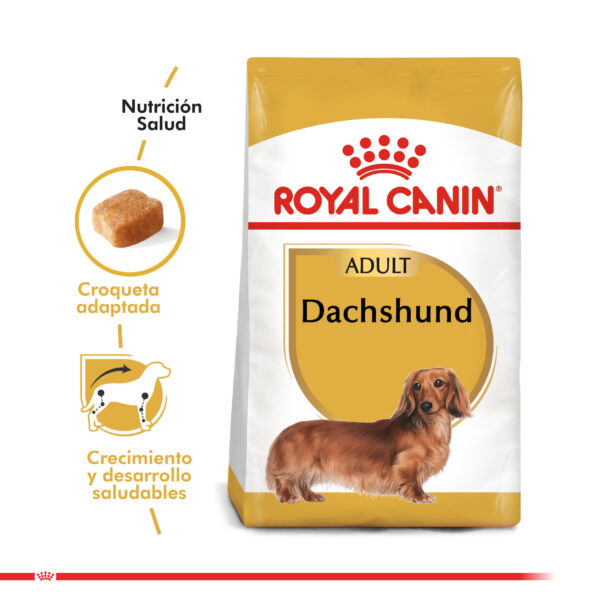 Royal Canin Dachshund Adulto 2.5 KG - Imagen 2
