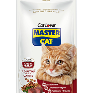 Master Cat Carne 20kg