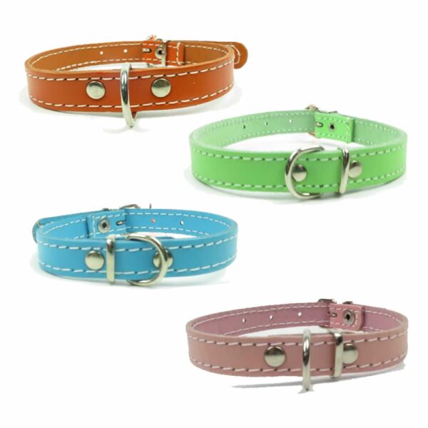 Collar Wonder Eco Cuero 2.0-42CM CM Colores - Imagen 4