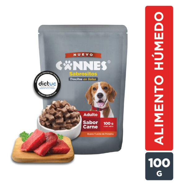 Caja Sachet Cannes Carne 100 GR 24 Unidades - Imagen 3