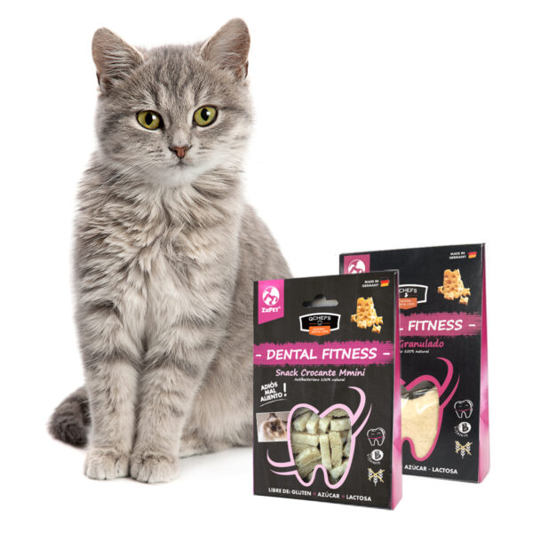 Snack QChefs Dental Granulado Gato - Imagen 2