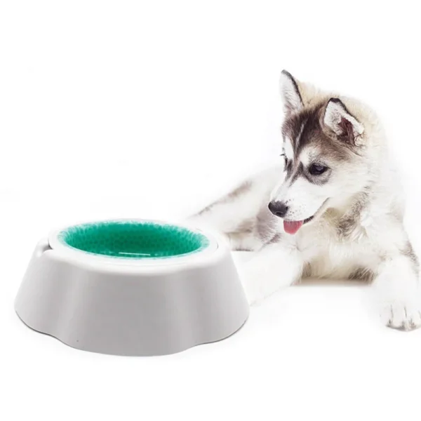Plato Refrescante Mediano 21cm (79223) - Imagen 5