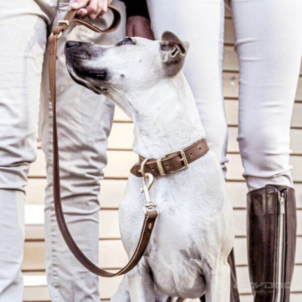 Collar Cafe Eco Cuero Estrella 33 cm(74435) - Imagen 2