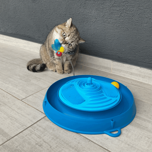 Juguete Gato Catit Play Circuito 3 en 1 con Masajeador (43001) - Imagen 4