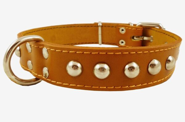 Collar Cuero Costura 16 mm N*1 5/8 (092121) Colores Surtidos - Imagen 4