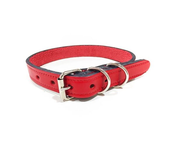 Collar Cuero N*4 32mm (1 1/4) Colores surtidos - Imagen 4