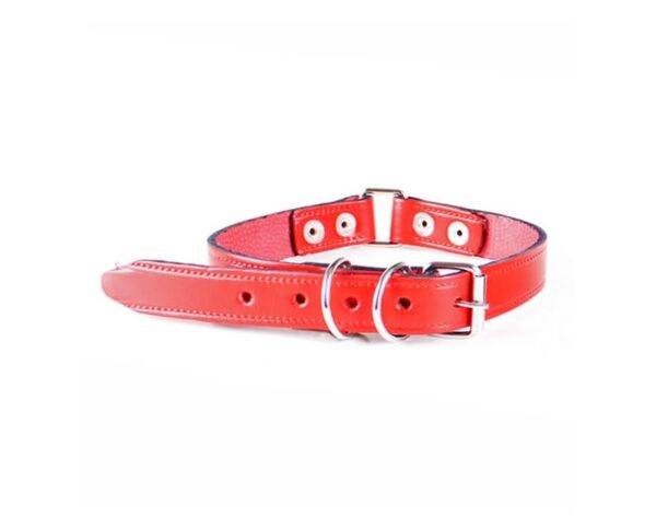 Collar Cuero Partido 25 mm N*3 (091902) Colores surtidos - Imagen 2