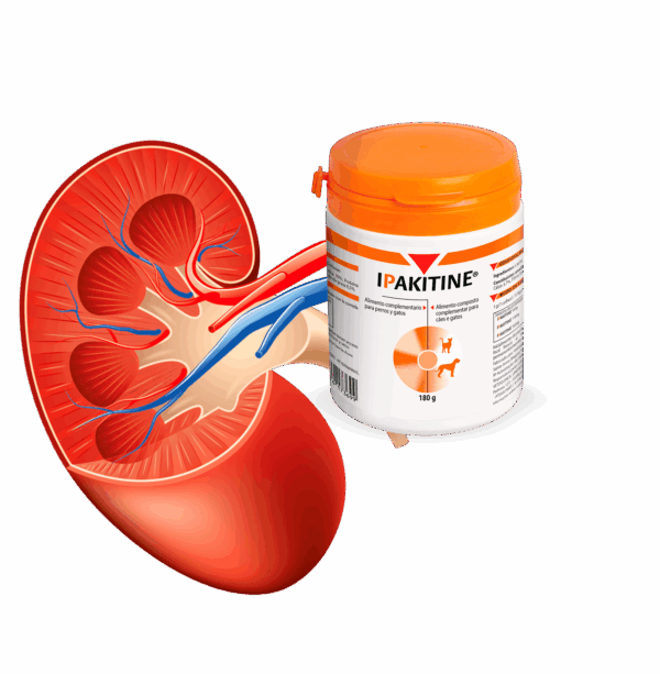 Ipakitine 180 GR - Imagen 4