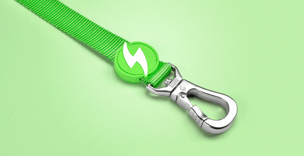 Dashi Trailla Correa Solid Green Leash Talla M (4051) - Imagen 2