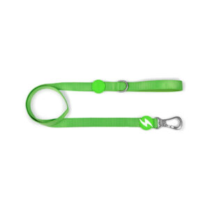 Dashi Trailla Correa Solid Green Leash Talla M (4051)