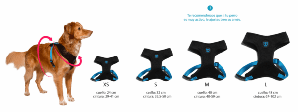 Arnés ZeeDog H3D Jelly Small Mesh Talla XS Plus (607966) - Imagen 2