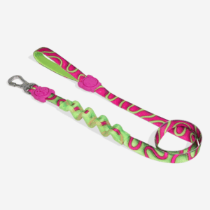 Correa Trailla ZeeDog H3D Jelly Ruff Leash Small Talla S (608024)