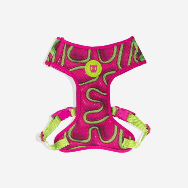 Arnés ZeeDog H3D Jelly Small Mesh Talla XS Plus (607966)