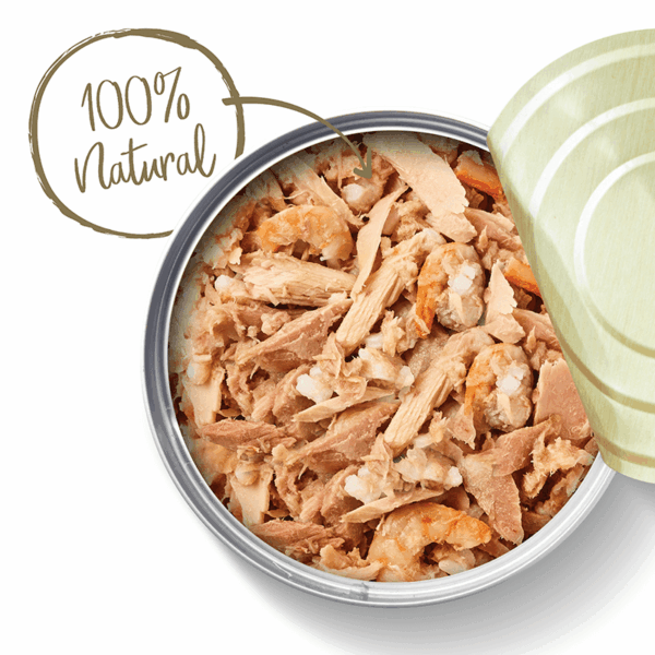 Lata Applaws Gato Pescado Azul 70 GR (1005LA-A) - Imagen 2