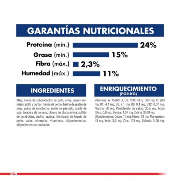 Royal Canin Maxi Adulto 10 KG - Imagen 2