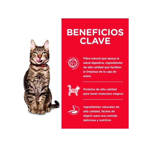 Hills Feline Adult 7+ Indoor 1.58 KG - Imagen 2